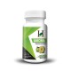 Garcinia Cambodge