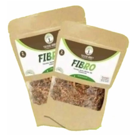 Fibro